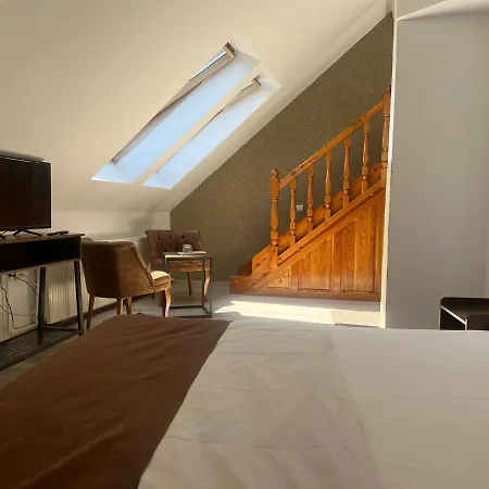 Guest house Casa Braneana 4*