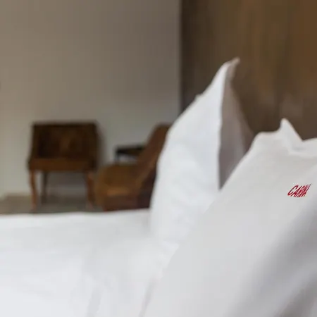 Casa Braneana Guest house Bran (Brasov)