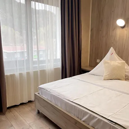 Casa Braneana Guest house Bran (Brasov)