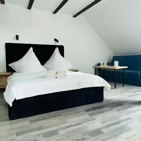 Casa Braneana 4*